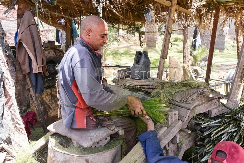 An Egyptian craftsman