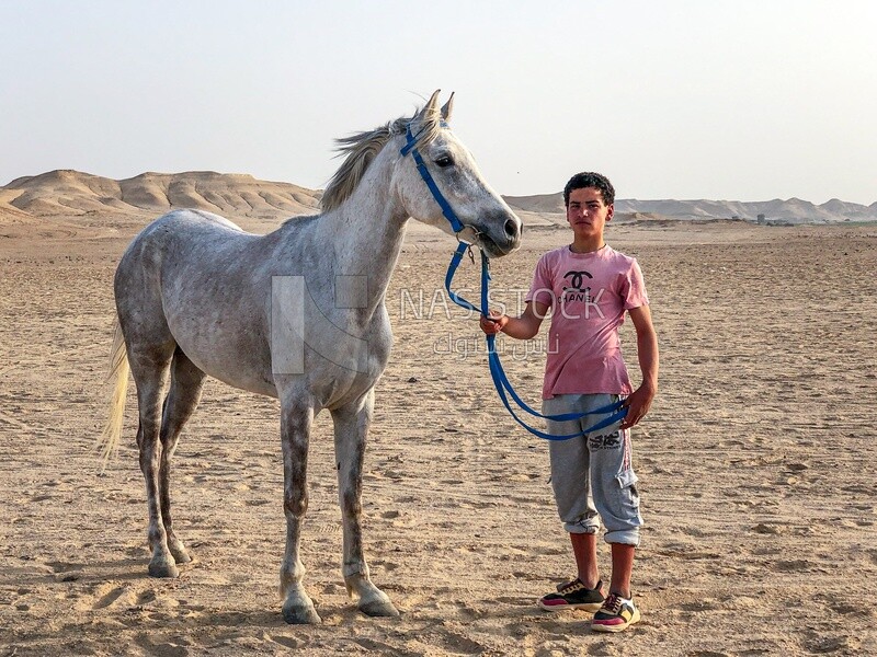 A young man standing holding a horse's bridle