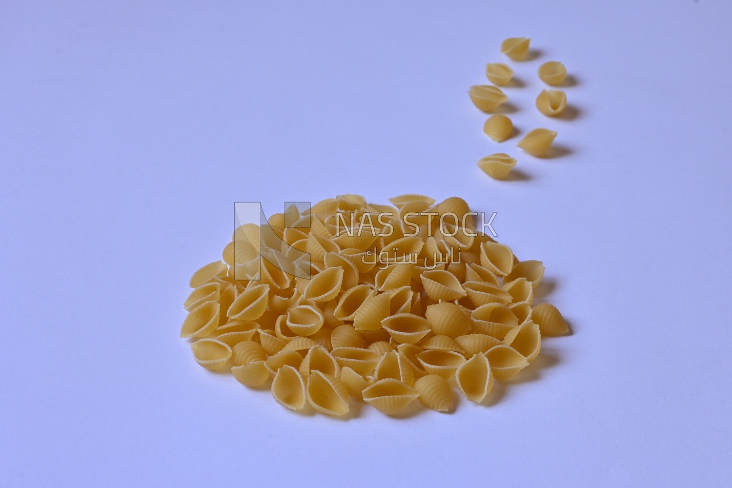 Uncooked Macaroni shape shells ,One of the types of pasta