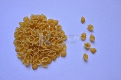 Uncooked Macaroni shape shells ,One of the types of pasta