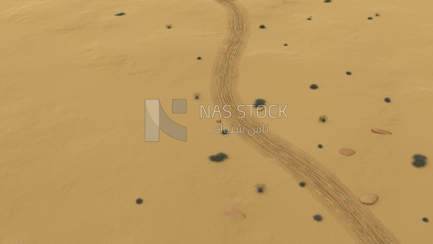 3D Model of desert sand