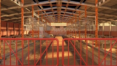 Cow and poultry barn at a local farm ,exterior and interior view , 3D model