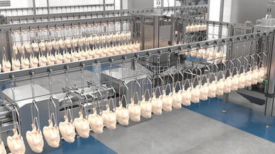Al Watania poultry factory for Frozen Food, exterior and interior view, 3D model