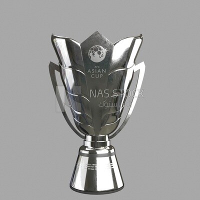 3D model of a AFC Asian Cup
