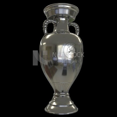 3D model of a Uefa Champion cup