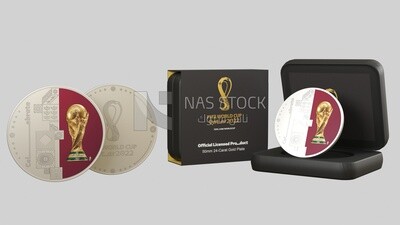 3D model of the World Cup Silver medal