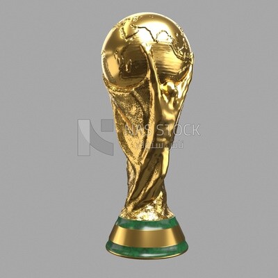 3D model of a World Cup