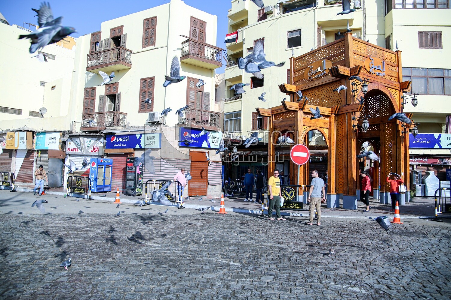 Pigeons at mosque courtyard