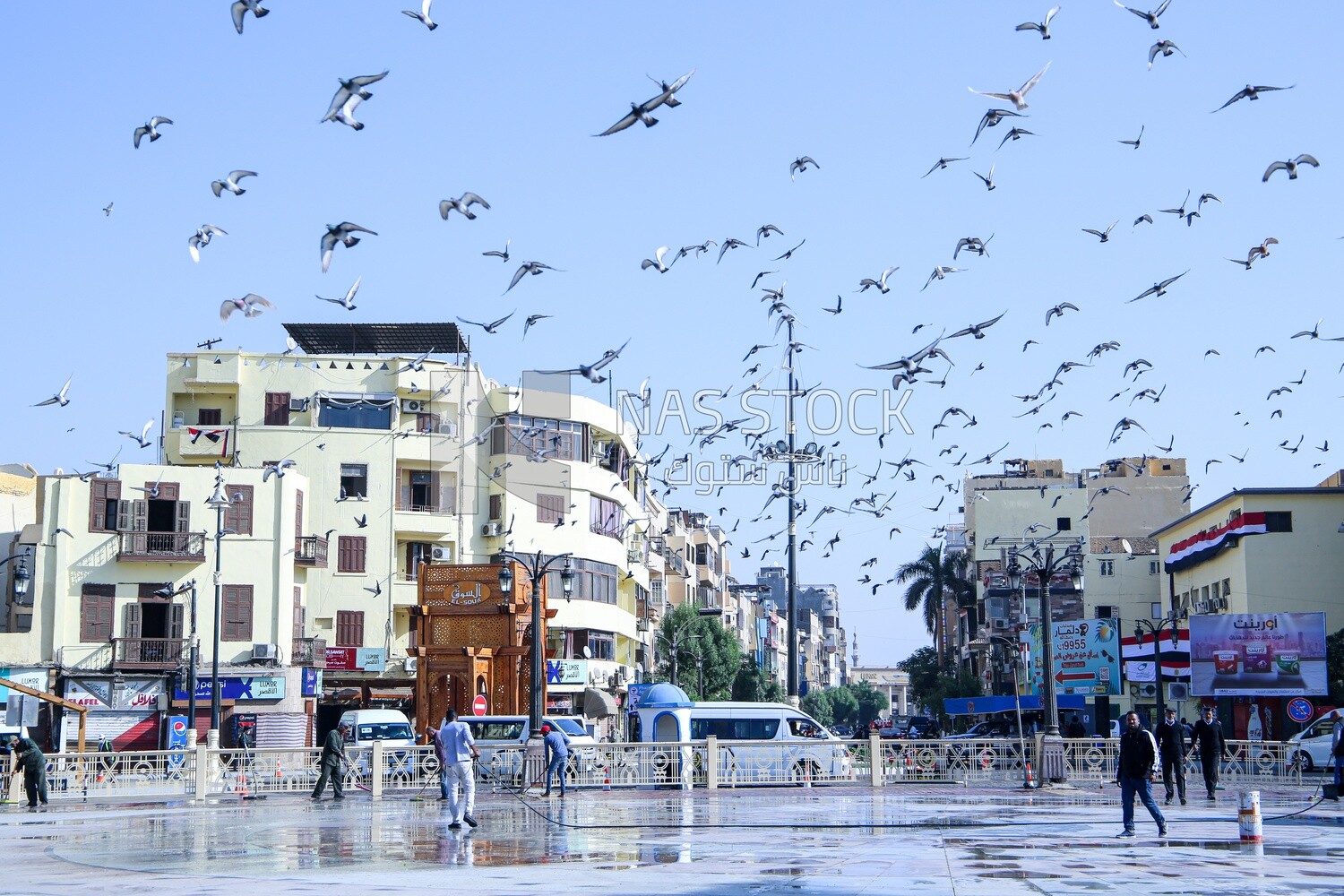 Pigeons at mosque courtyard
