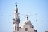 Pigeons at mosque courtyard