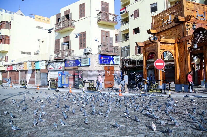 Pigeons at mosque courtyard