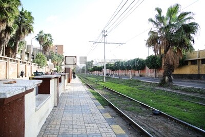 Alexandria tram