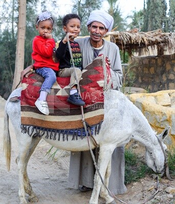 Boy and girl on horse