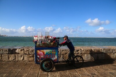 Ice cream seller