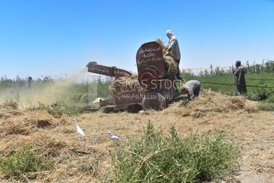 Wheat harvesting machine