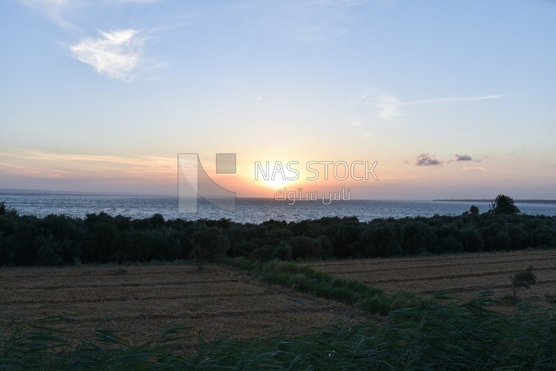 Stunning sunset view over an Egyptian agricultural field