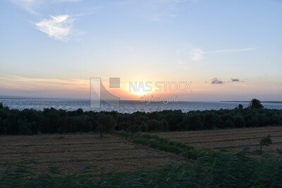 Stunning sunset view over an Egyptian agricultural field