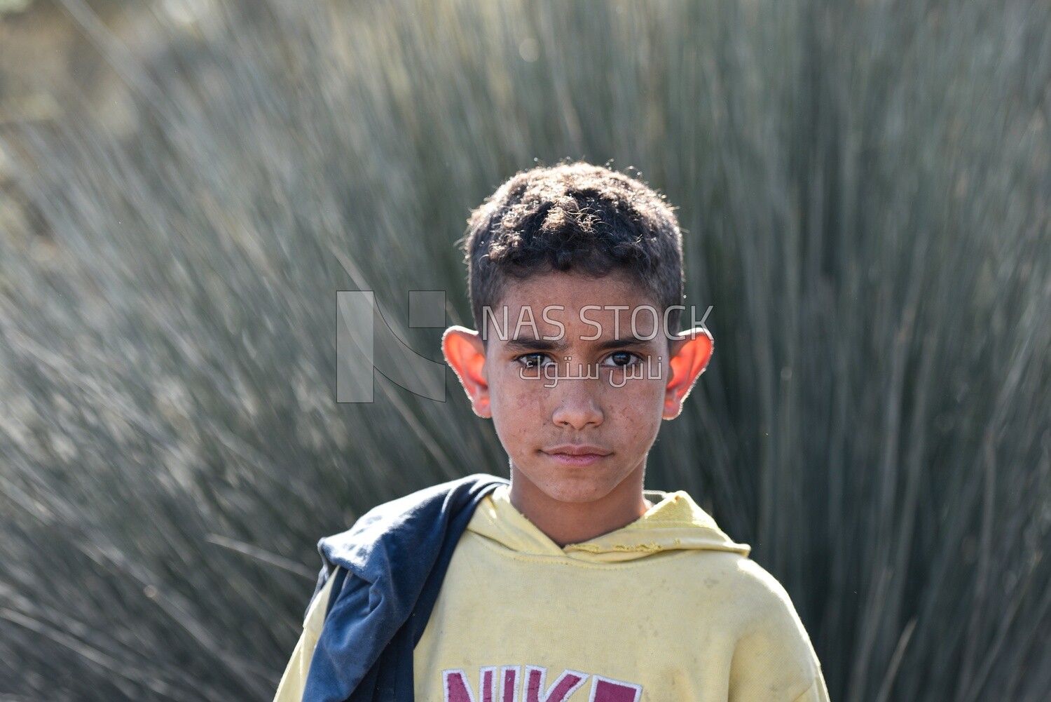 Kid in the farm