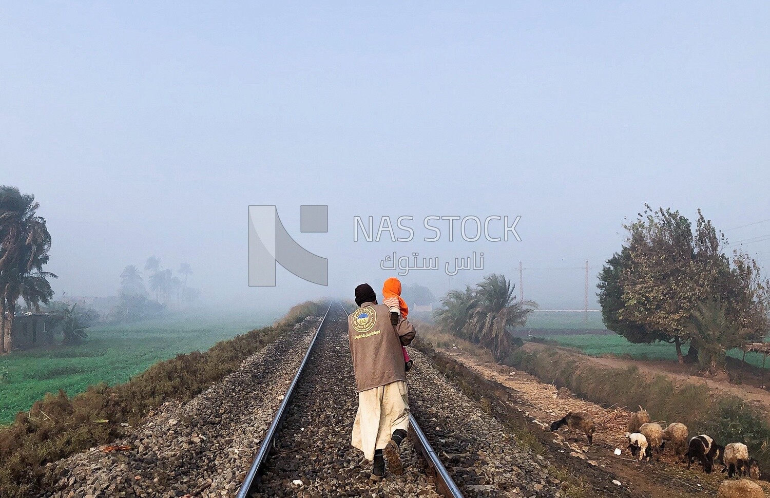 Egyptian worker