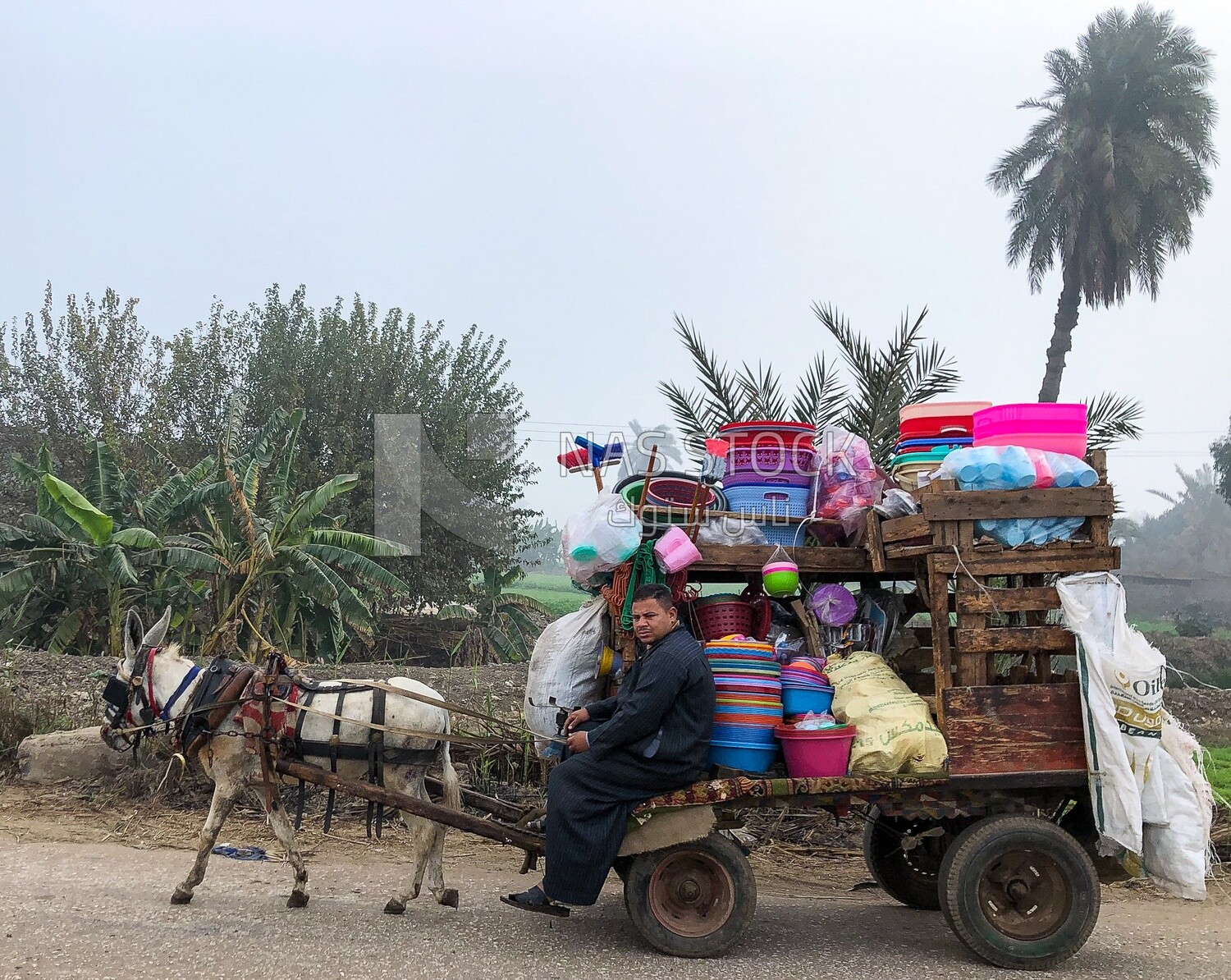Man riding a donkey cart