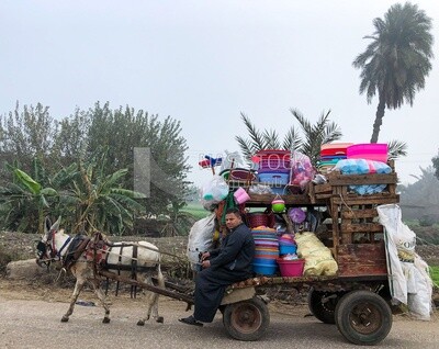 Man riding a donkey cart