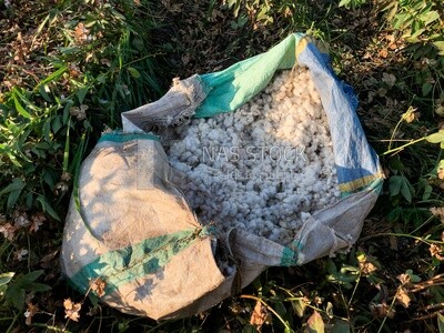 Sack of harvested Egyptian cotton