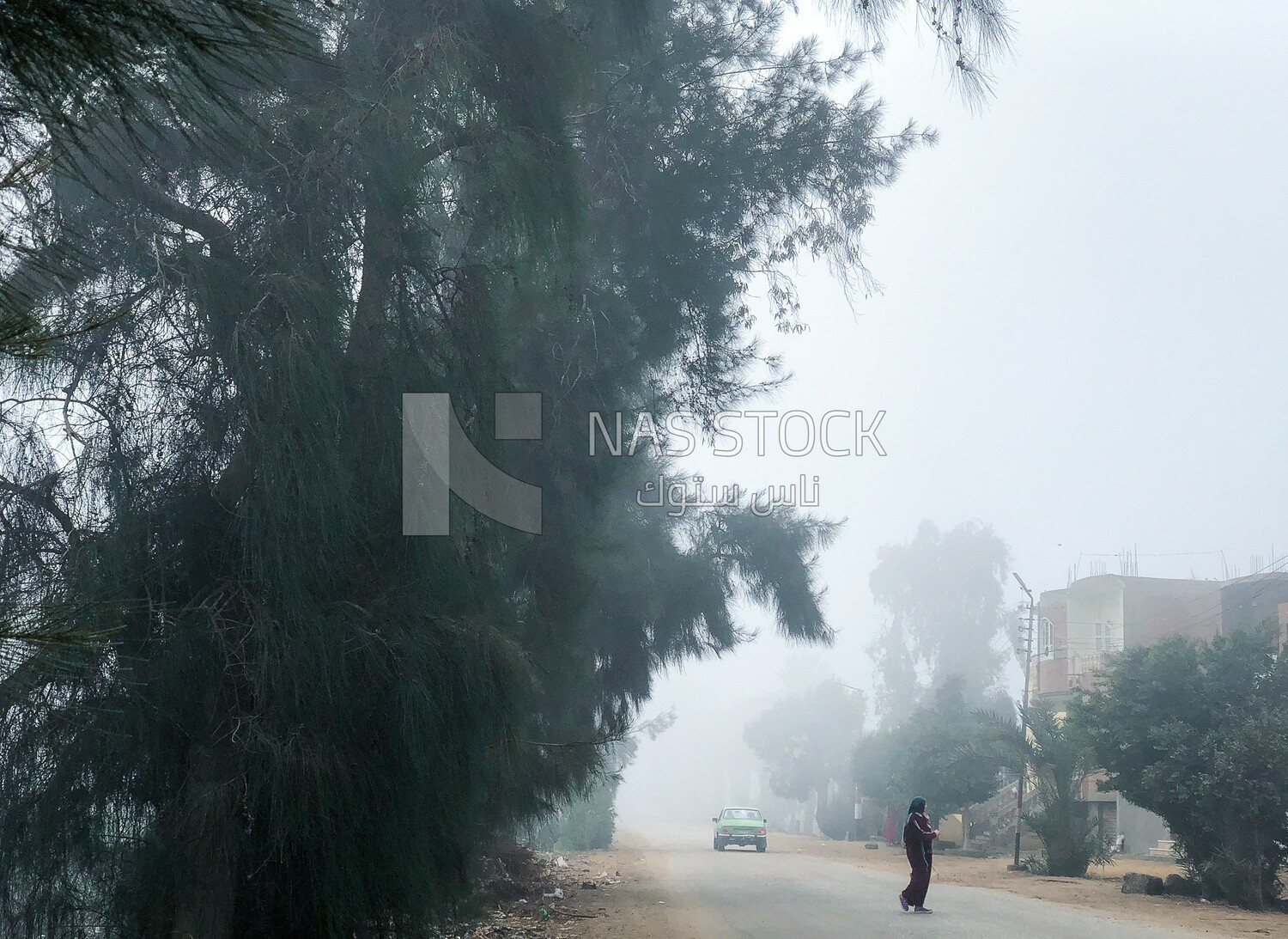 The main road of a rural village in Egypt