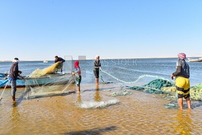 Group of Egyptian fishermen