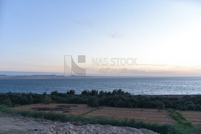 Landscape view of an agricultural field