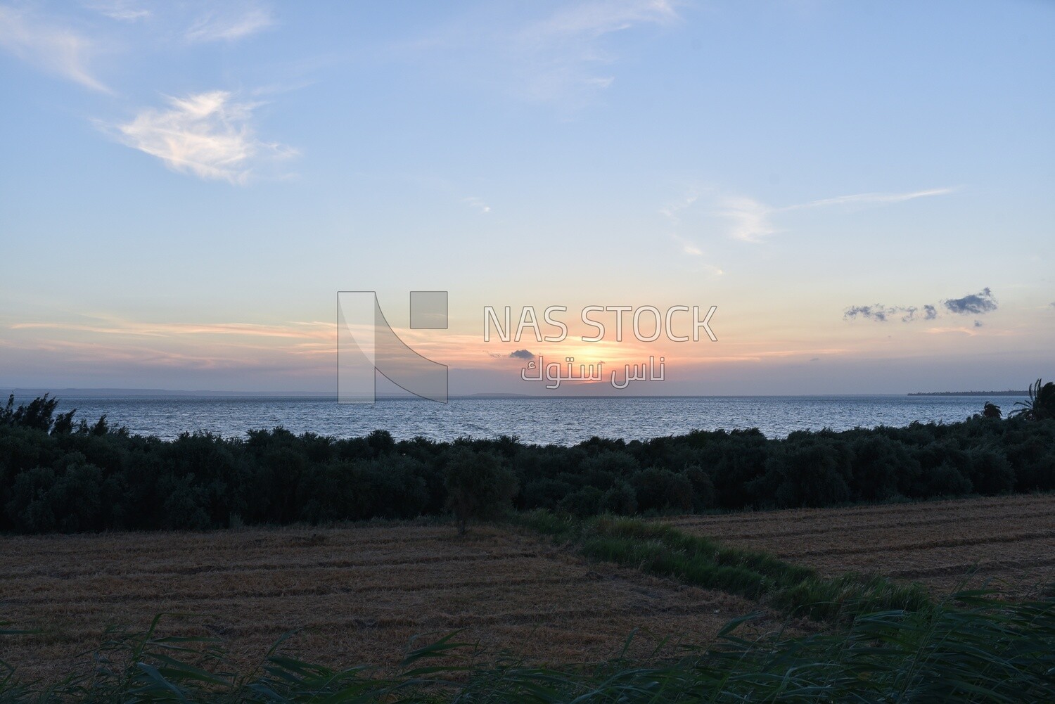 Sunset on agricultural land overlooking the Nile River