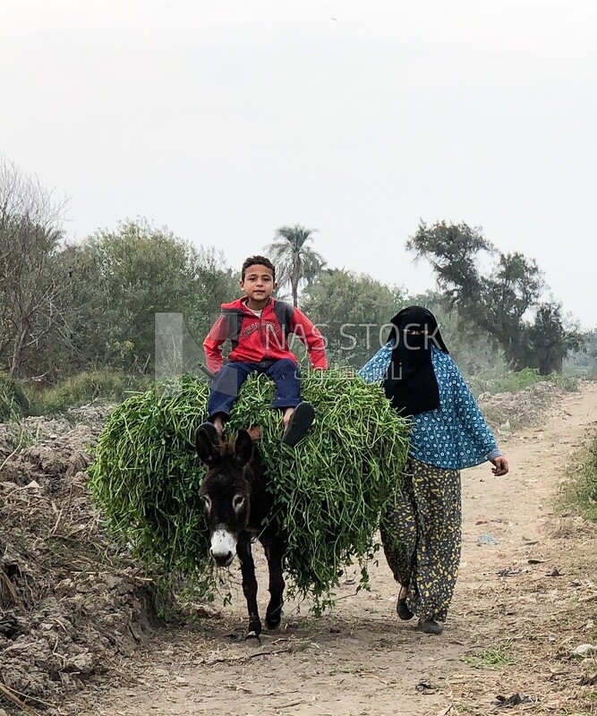Egyptian female farmer and her young