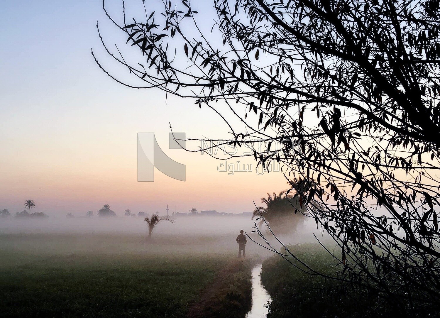 View of agricultural land