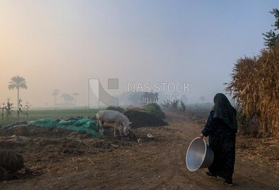 Woman from Egyptian Countryside