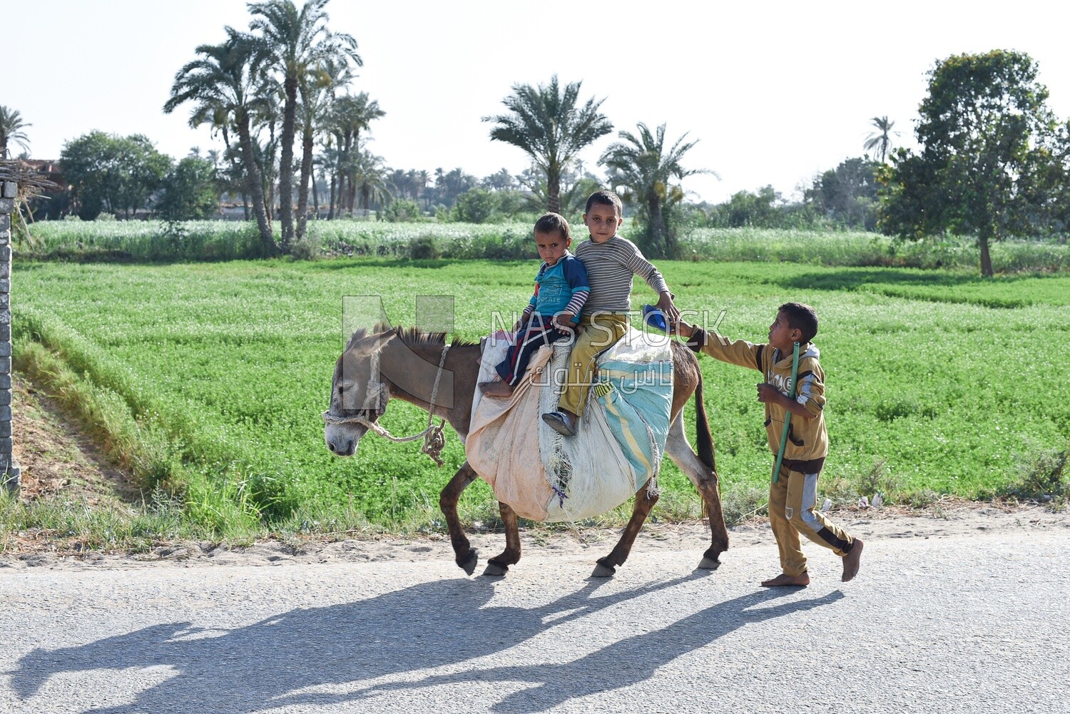 Children from the Egyptian countryside