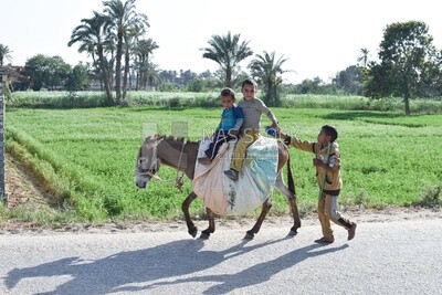 Children from the Egyptian countryside
