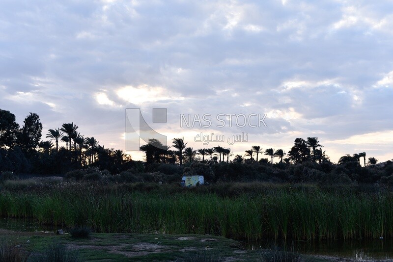 Cloudy sky at sunset over an Egyptian farmland