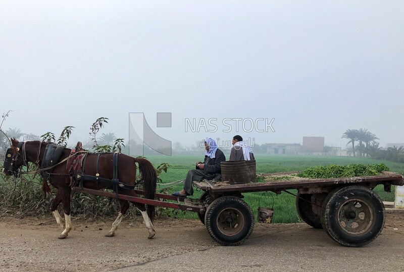 Horse-drawn cart