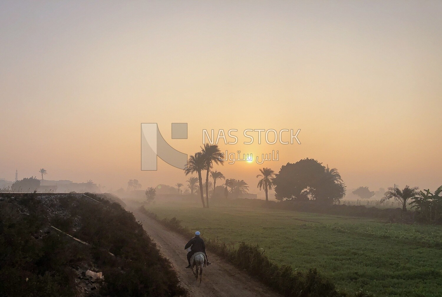 Egyptian countryside