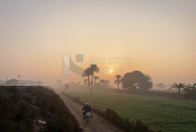 Egyptian countryside