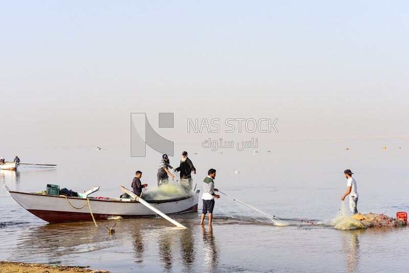 Group of Egyptian fishermen casting fishing nets in the lake