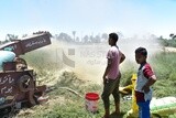 Two young men from the Egyptian countryside