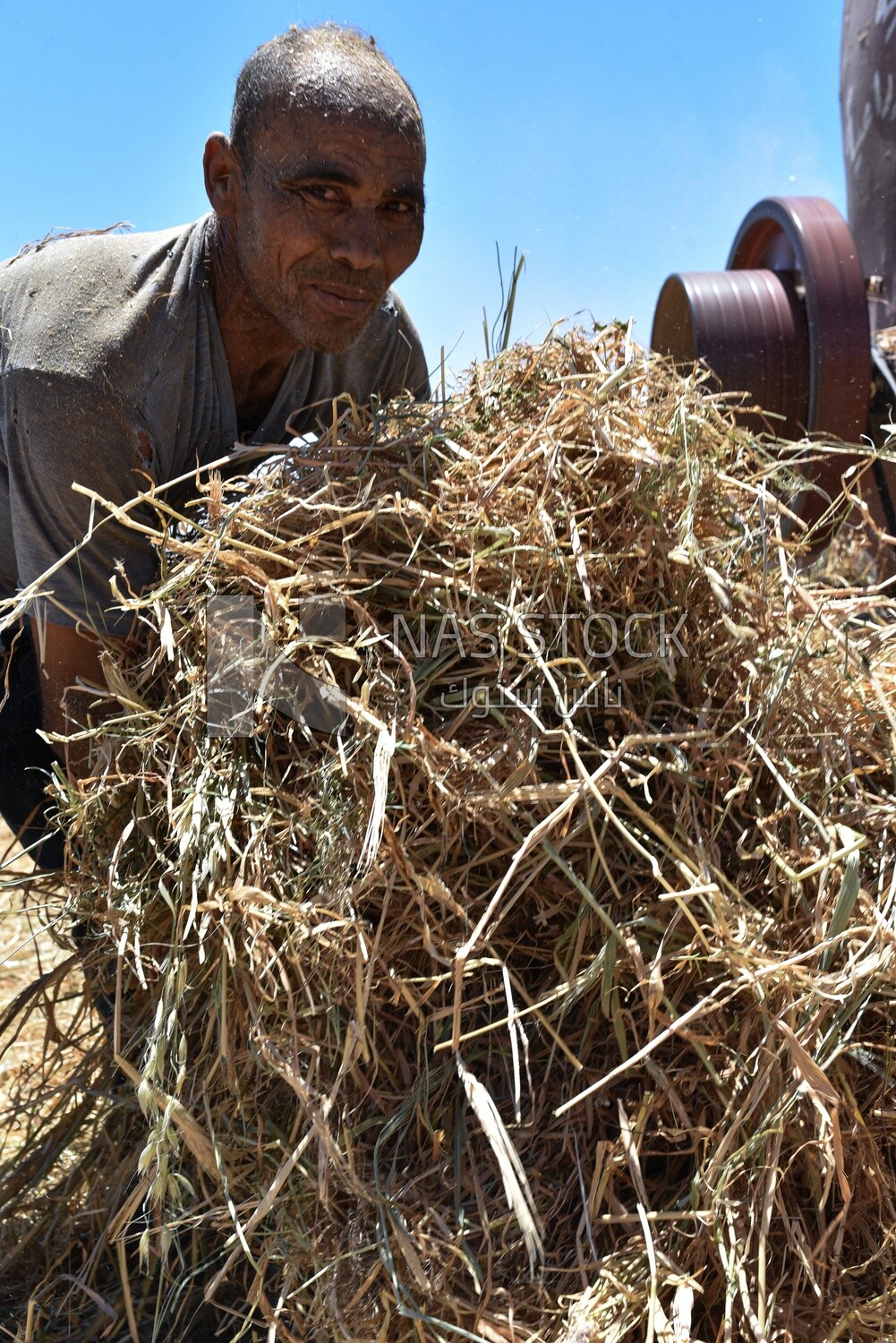 Egyptian farmer