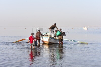 Group of Egyptian fishermen
