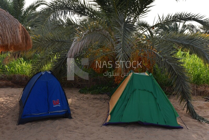 Tents erected in the wilderness in Egypt