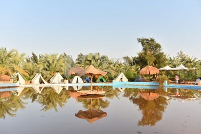 Tents erected around a spring in Egypt