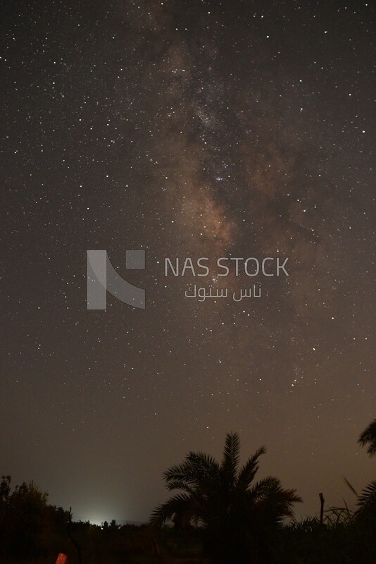 Sky with the Milky Way, Egypt