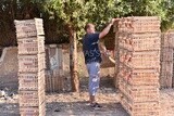 Egyptian craftsman coloring the cages