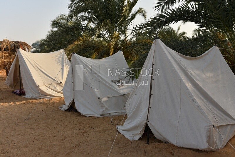 Tents in the wilderness, Egypt