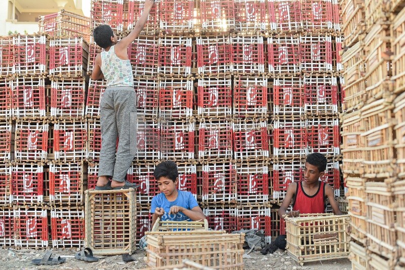 Egyptian children working in the craft of wicker making