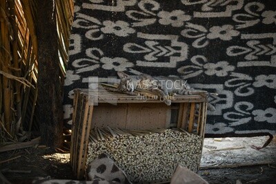 Sleeping cat in a workshop in rural Egypt